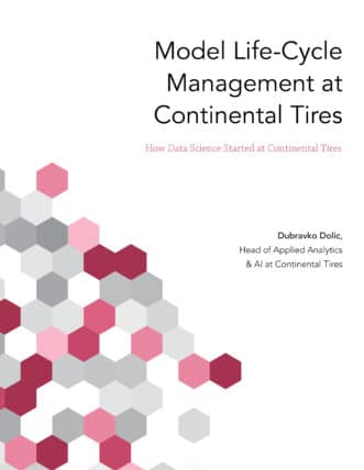 Model Life-Cycle Management at Continental Tires